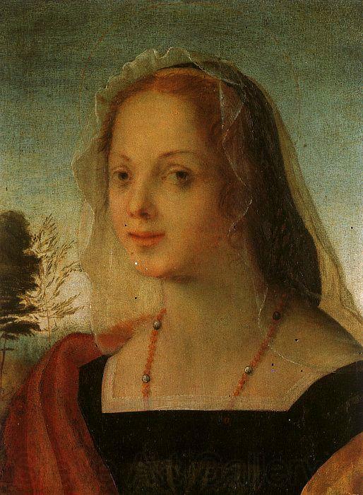 Rosso Fiorentino Portrait of a Young Woman